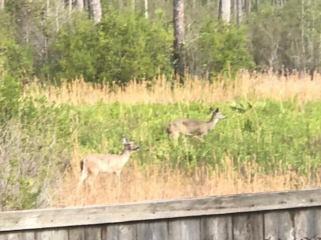 WILD HERON PHASE I - Residential