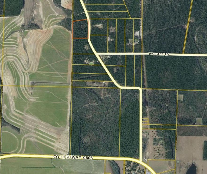 10 Acres in Defuniak Springs. Land is zoned as agriculture, it is in an X flood zone, and can only have 1 dwelling on property. Electric and well are available. Public water cannot be tapped into at this time.