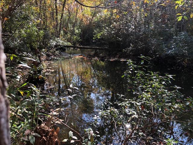 WILLIAMS CREEK ESTATES - Land