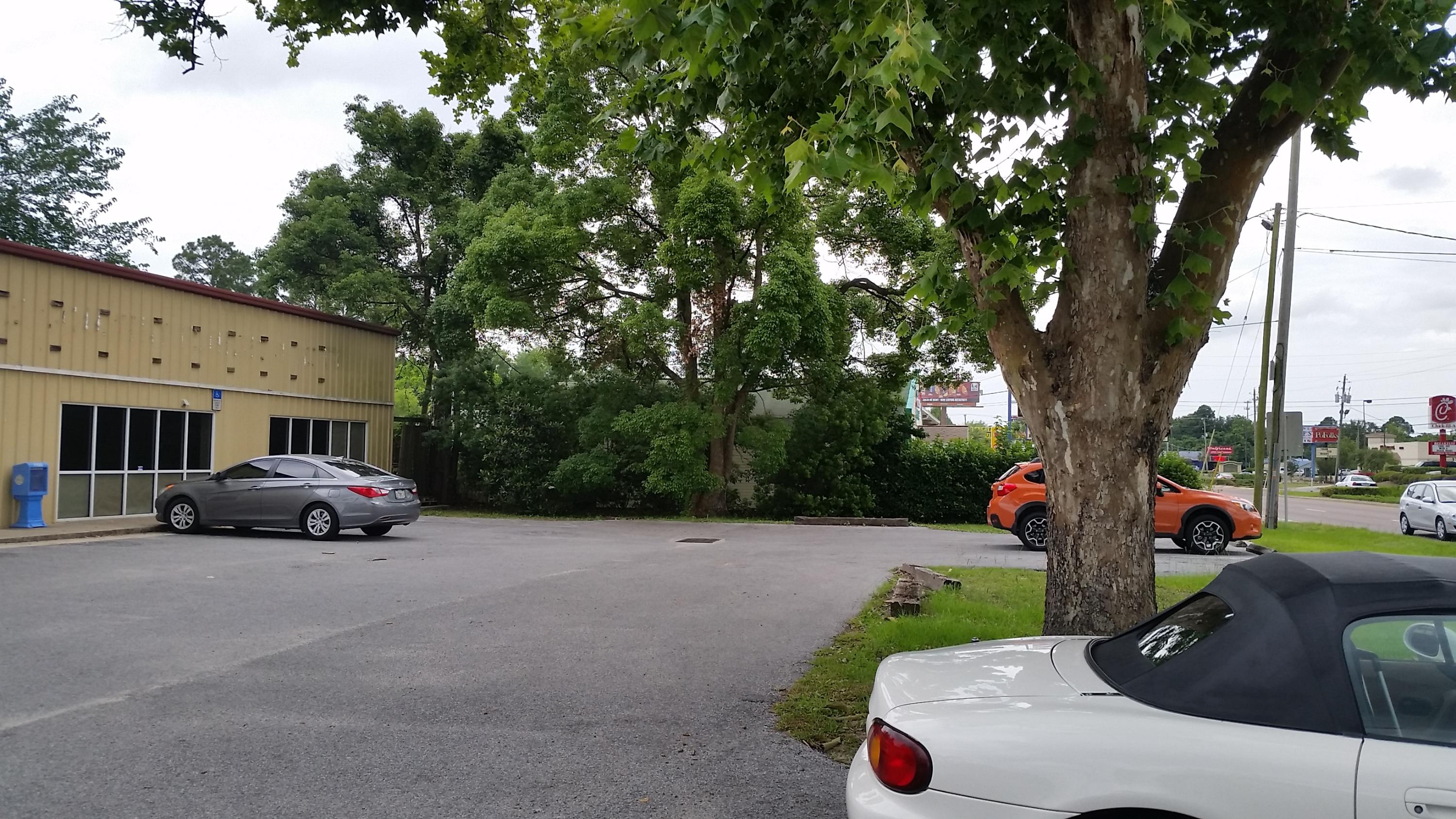 Main image without alt text