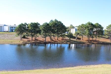 GULF TERRACE CONDO - Residential