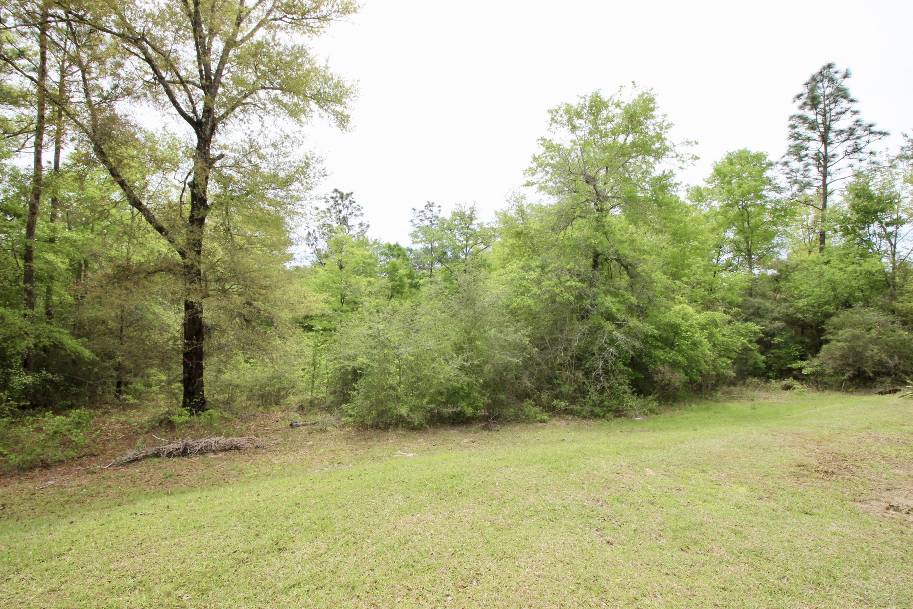 CLEAR CREEK ESTATES - Residential