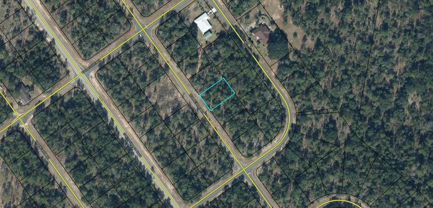 Love Golf? Dream of having a home built in proximity to your clubhouse and golf course without paying high HOA fees? This .229 acre lot is perfect for you. Other than the clubhouse and beautiful Green Golf turf, Sunny Hills offers numerous lakes with white sandy beaches and clear water throughout for recreational activities such as swimming, boating, and fishing, but also provides a short drive, approximately 45 minutes to Panama City beaches when you want to visit a different slice of heaven. Northwest Florida Beaches International Airport, and Pier Park shopping are approximately 45 minutes. Approx. 20 miles from local shopping, medical, and other local amenities in Chipley.
