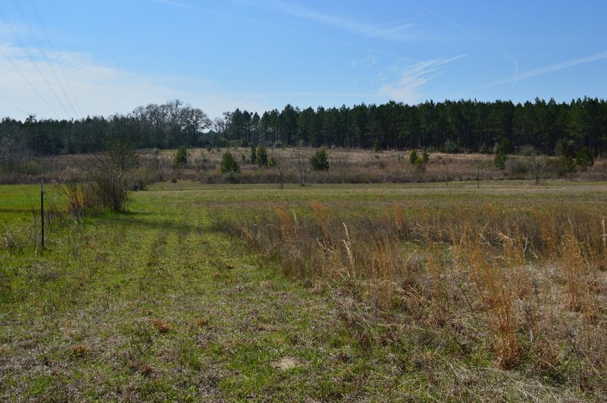Relatively flat land, 5 acres near the Laurel Hill Schools. Sign is on the property. There are restrictions on this property for building purposes. All information should be verified.