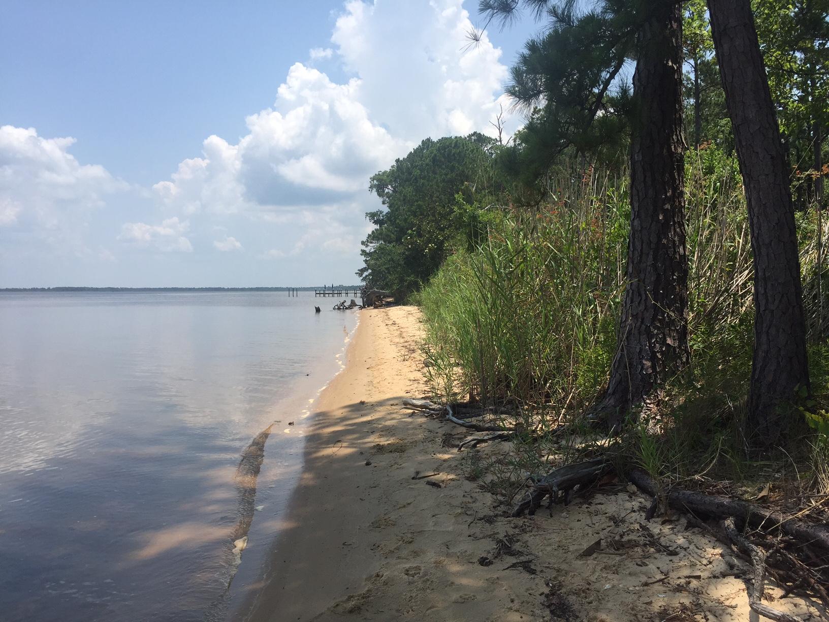 100 feet of water front on Choctawhatchee Bay to build your dream home! This double bay front lot in Point Washington is only 5 miles away from the stunning emerald green waters and white sand beach of Grayton Beach. No build out times or HOA dues!
