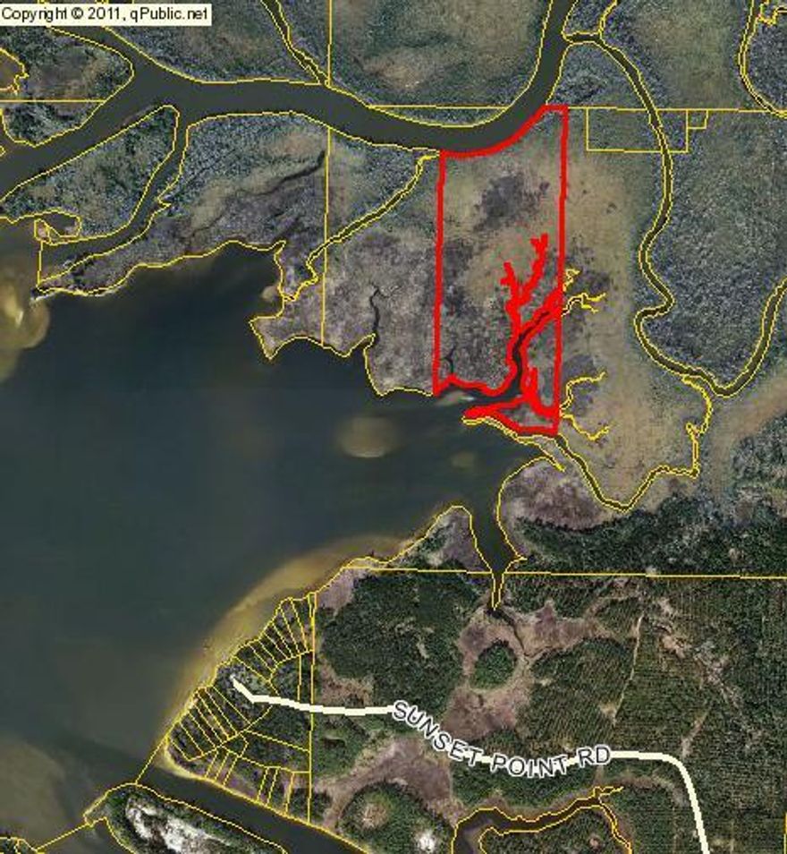 Waterfront land 95.07 acres - zoned agricultural. Land can possibly mitigated through DEP. Can only be accessed via boat, large piece great for camping area, nature walks, boy scouts, hunting area, fishing camp. West side of lot has the Choctawhatchee river and the East side in on the Choctawhatchee bay