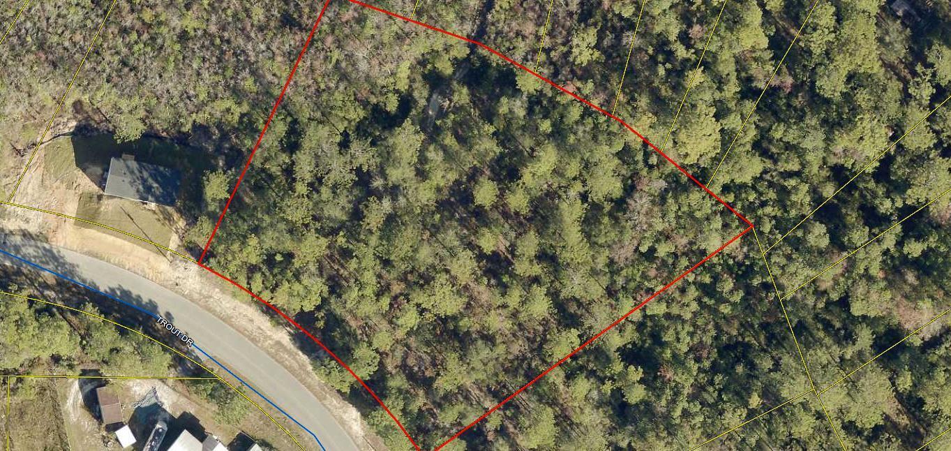 Nice buildable lot on a paved road. Power and water available but a septic system will be required. There is a slight wetlands area due to a creek at the back of the property. Refer to the GIS Wetlands Map in Documents. Additional adjoining lots are available. Located midway between DeFuniak Springs and Mossy Head I-10 interchanges.