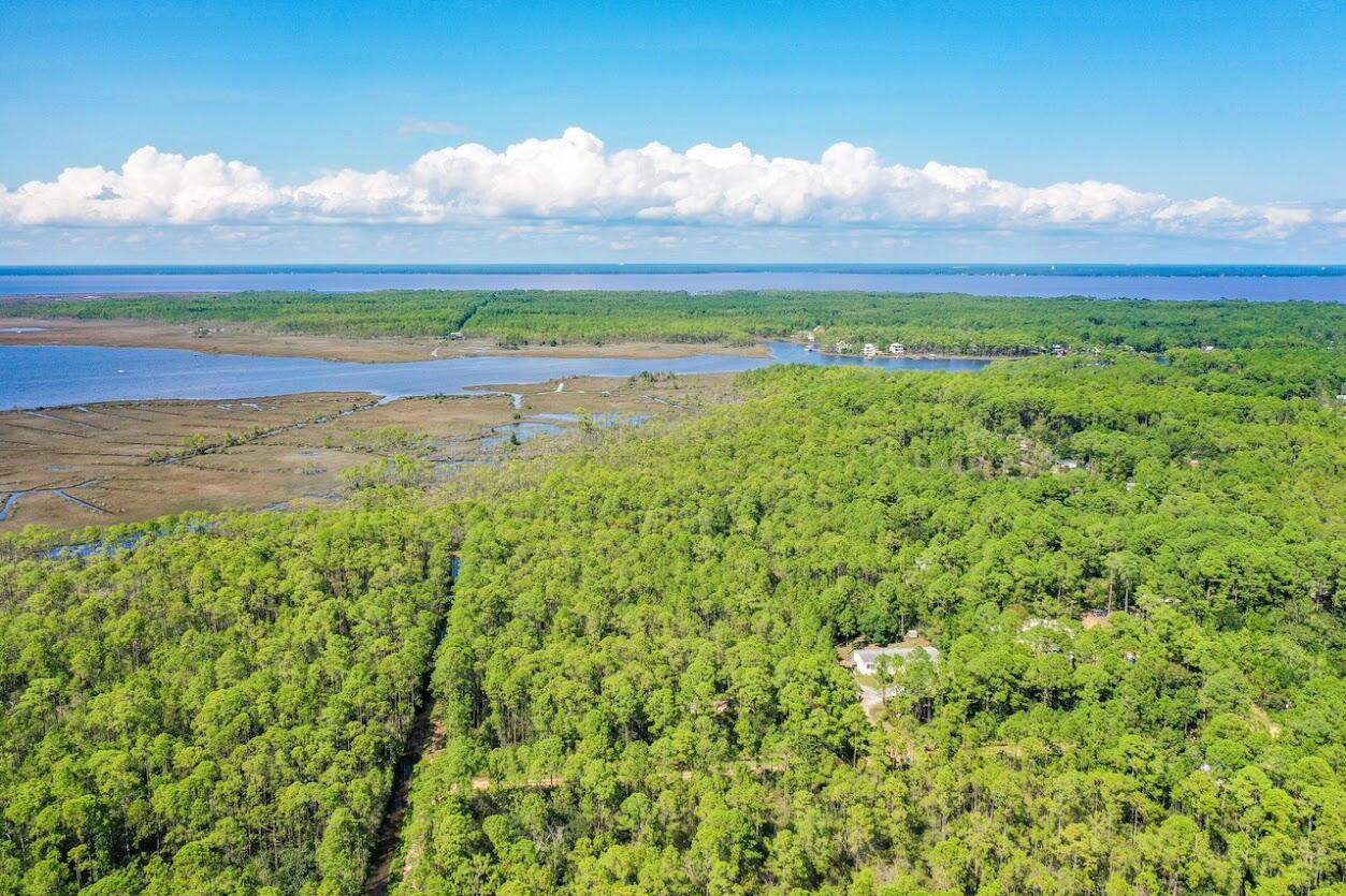 Priced under market value for quick sale. Motivated seller. Don't miss out on this S sensational opportunity to own a piece of the Emerald Coast! Santa Rosa Beach is a charming community that is growing and a perfect spot to build your own home with NO HOA FEES and in a AE FLOOD ZONE. The location is outstanding, located only minutes away from Gulf Coast Beaches, entertainment, and great shopping. Also, a boat ramp to the bay is right around the corner Build your home on this .14 acre lot or buy and hold for investment. Additional, non-adjacent lot also for sale and can be purchased together. This wooded lot is surrounded by other wooded lots. Enjoy the peace and quiet only surrounded by nature yet minutes from Highway 98 and Beaches of the white sand and emerald water of the Gulf of Gulf of Mexico along County Highway 30A. Short drive to the 331 bridge and Choctawhatchee Bay and points north. Explore local cuisine, launch a boat at Cessna landing, or enjoy the world renowned golf courses the Emerald Coast has to offer.
"2 Lots available for sale, buy both together for a great discount."