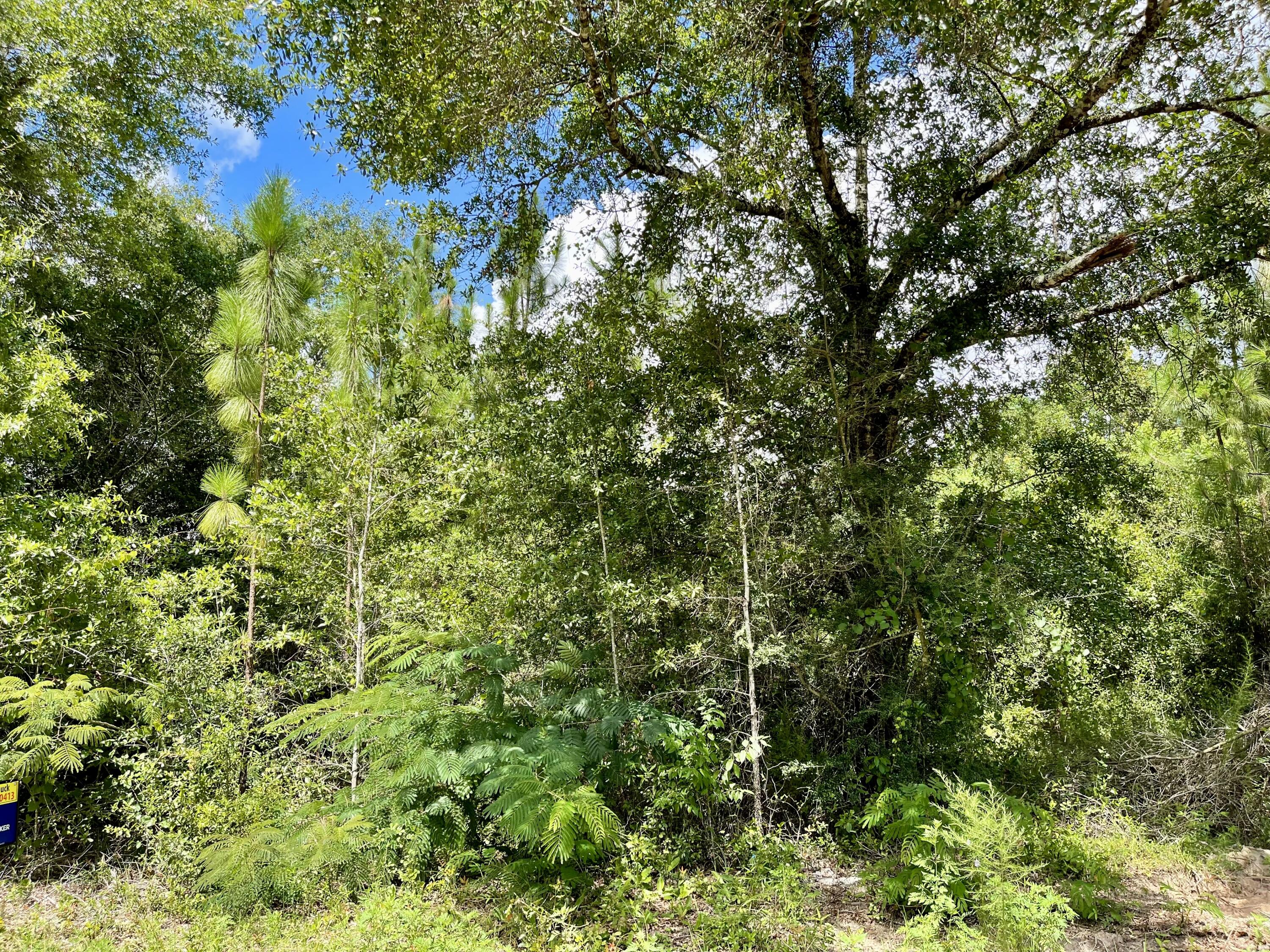 METES & BOUNDS - Land