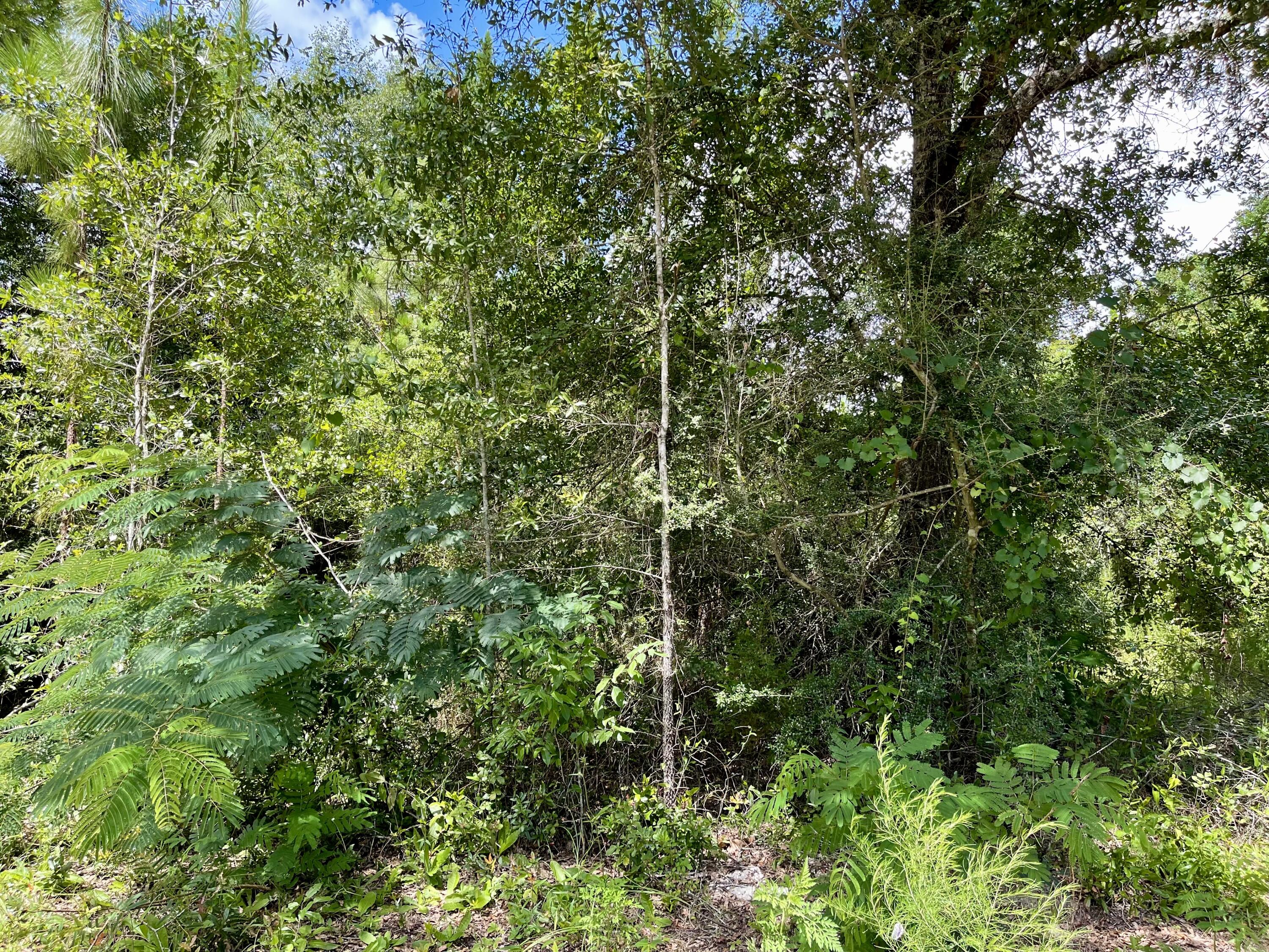 Beautiful buildable 1/4 acre lot located on a paved road in Crestview FL.No HOA Fees or Restrictions! Mobile Homes Allowed.This lot has public water available. Tap fee not paid. A septic tank would be required.Electrical nearby.This lot is ready for you to get started building your dream home!!There are (2) additional lots which can be purchased MLS#904086 & 901492.Seller will sell all (3) for $90,000.00.