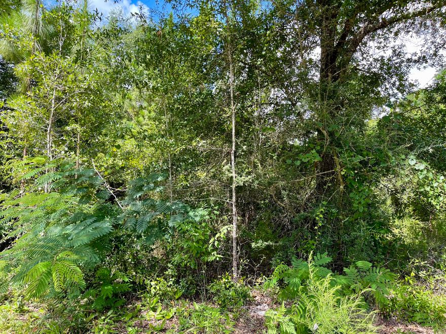 Beautiful buildable 1/4 acre lot located on a paved road in Crestview FL.

No HOA Fees or Restrictions!  Mobile Homes Allowed.

This lot has public water available. Tap fee not paid.  A septic tank would be required.
Electrical nearby.

This lot is ready for you to get started building your dream home!!

There are (2) additional lots which can be purchased MLS#904086 & 901492.
Seller will sell all (3) for $90,000.00.