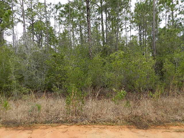 HOLLEY BY THE SEA - Land