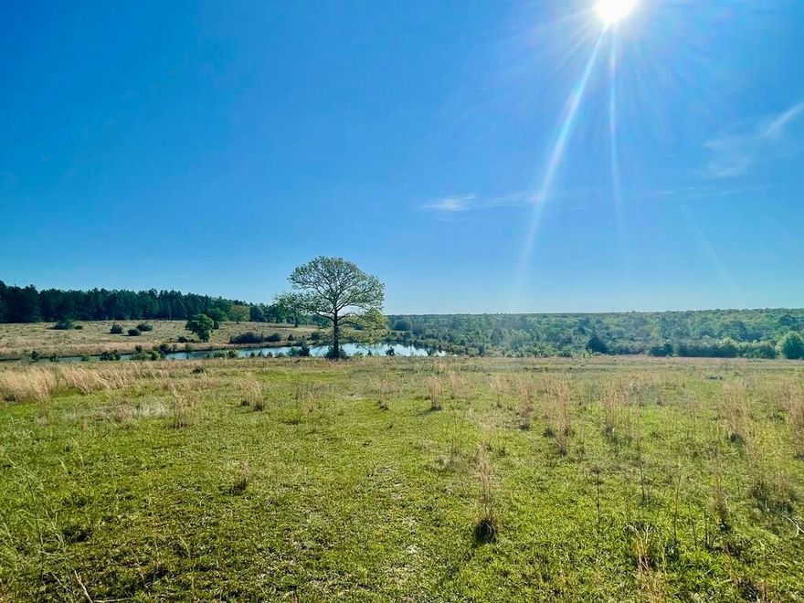 WOW! 14 +/- Ac perfect to build your New home on! pinch your self your not dreaming! Look at the beautiful pastures and a portion of a small pond! Bring your horses and fishing poles! Great location! In fair distance from the city of crestview to enjoy some quiet time but still be in proximate location to local schools restaurants and grocery stores!! Don't miss out on this opportunity!!