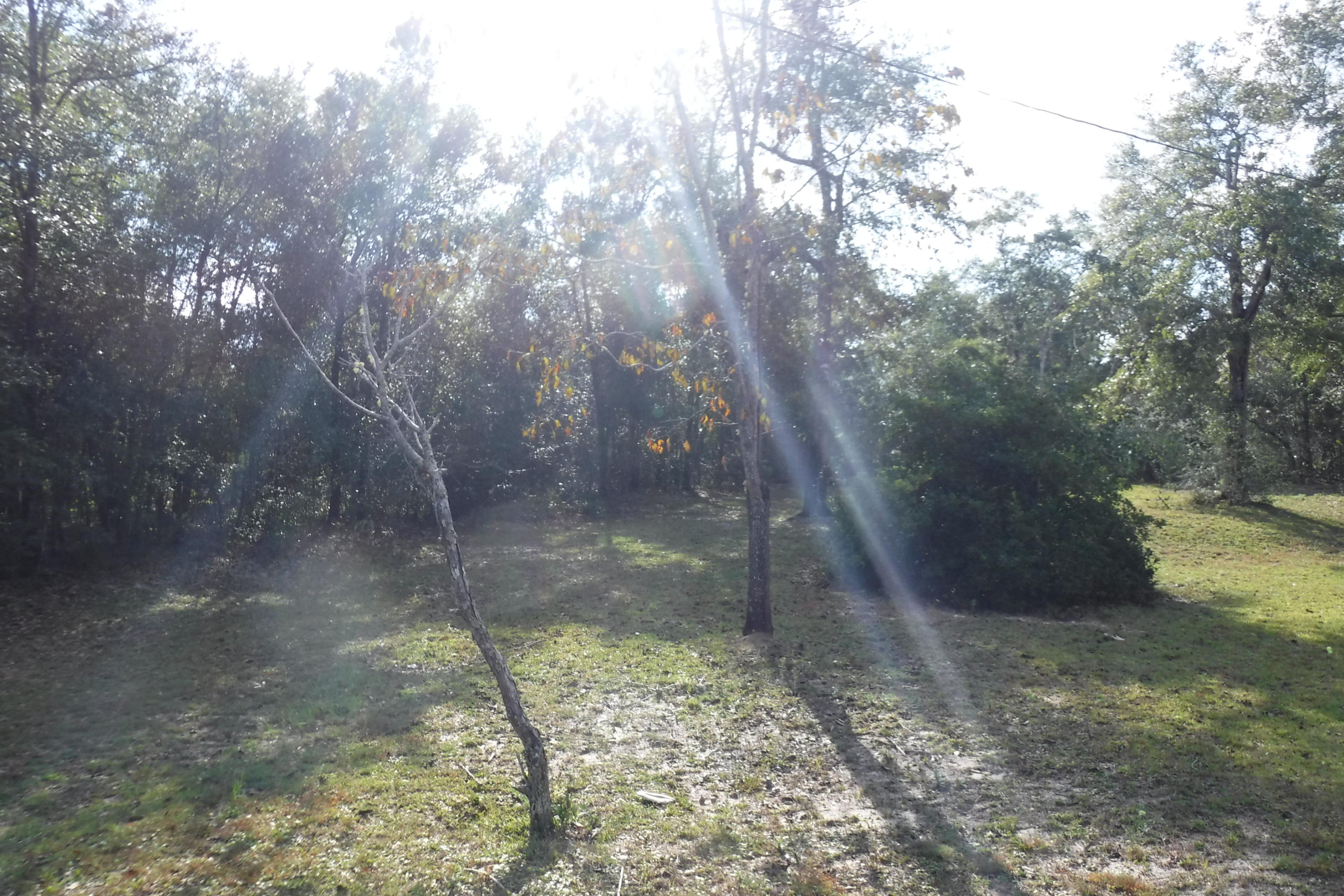 meets and bounds - Residential