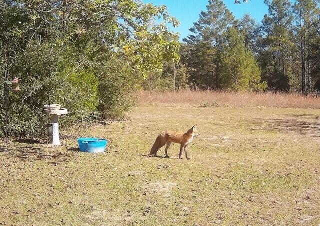 North Supergroup - Residential