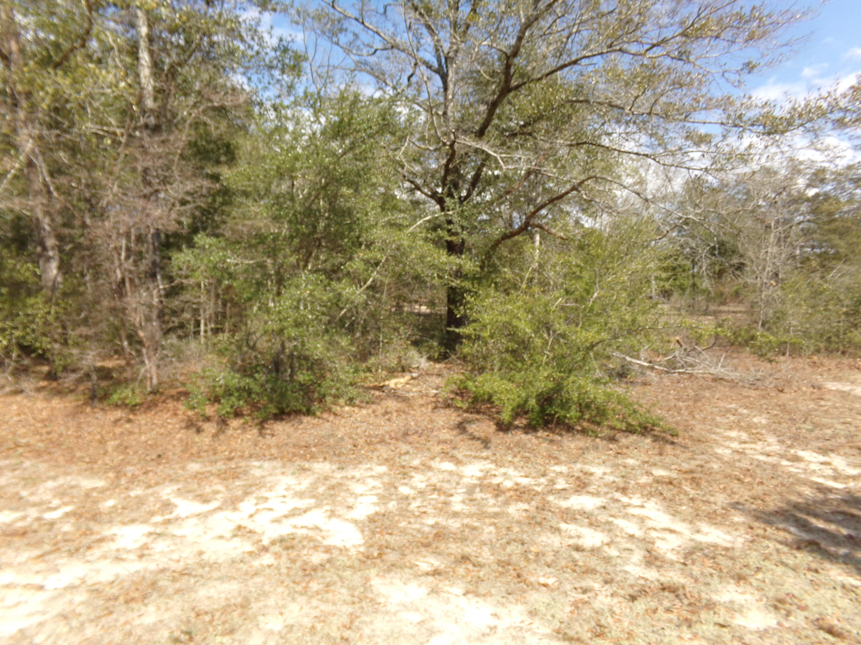 North Supergroup - Residential