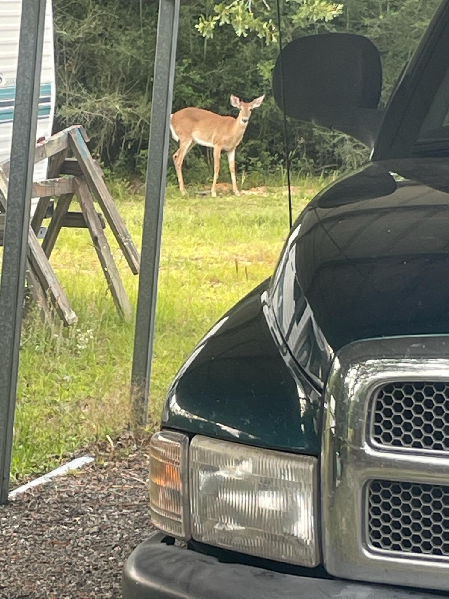 North Supergroup - Residential