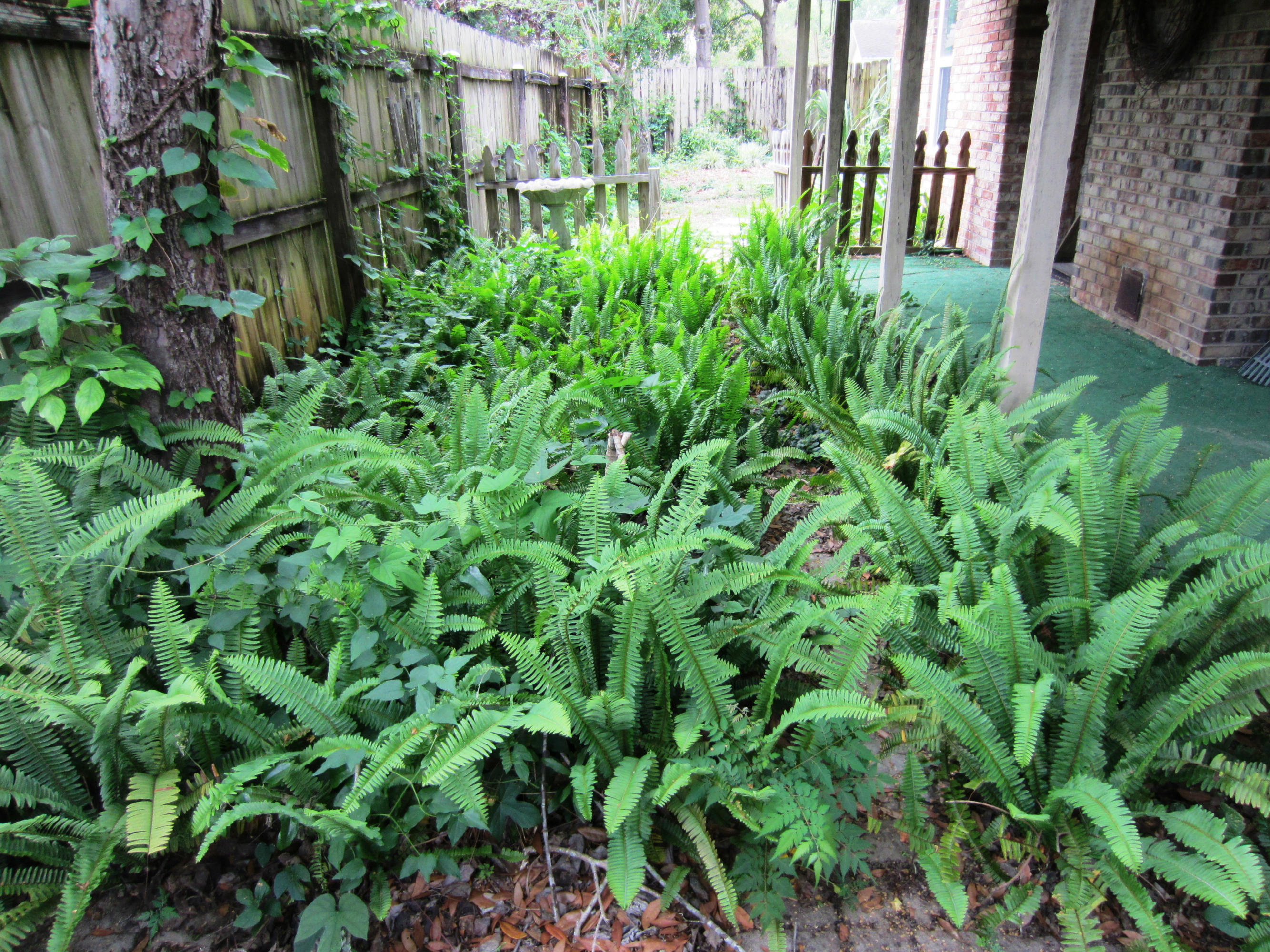 BLUEWATER BAY VILLAGE 1A - Residential