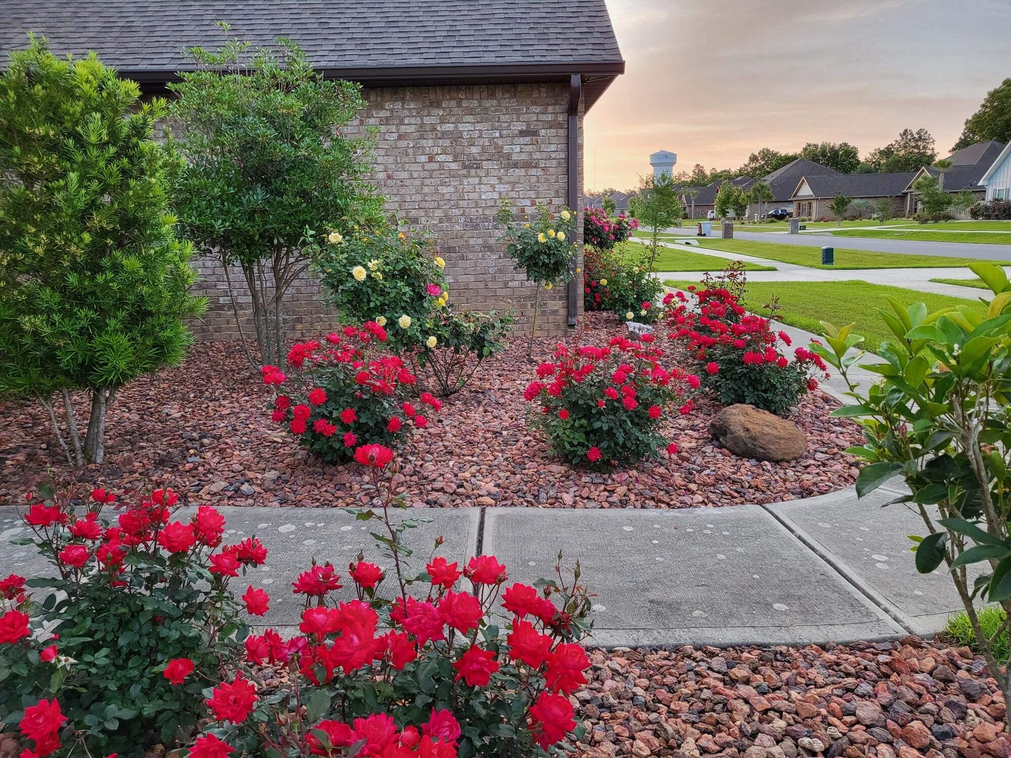 Ashley Plantation - Residential