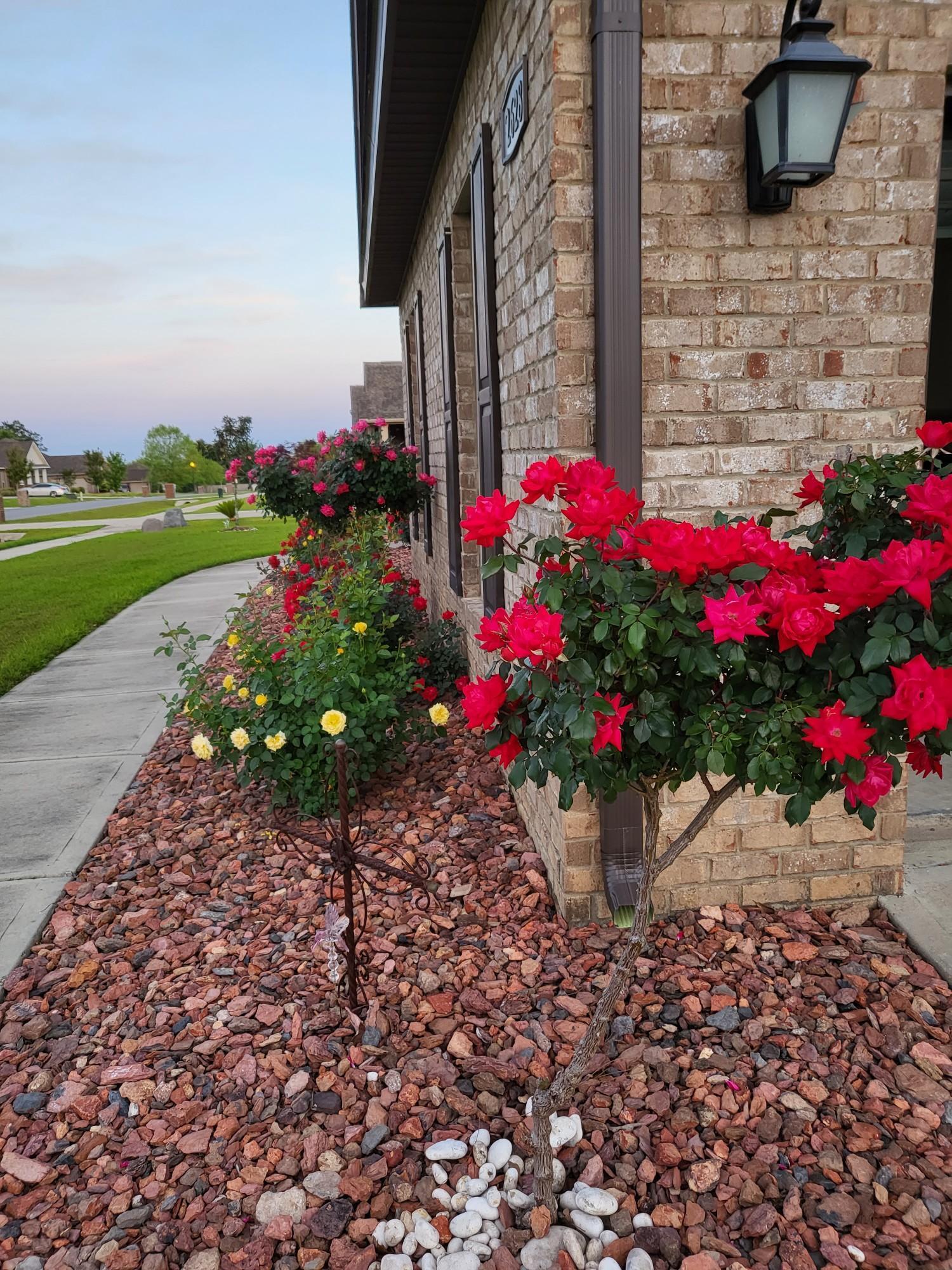 Ashley Plantation - Residential