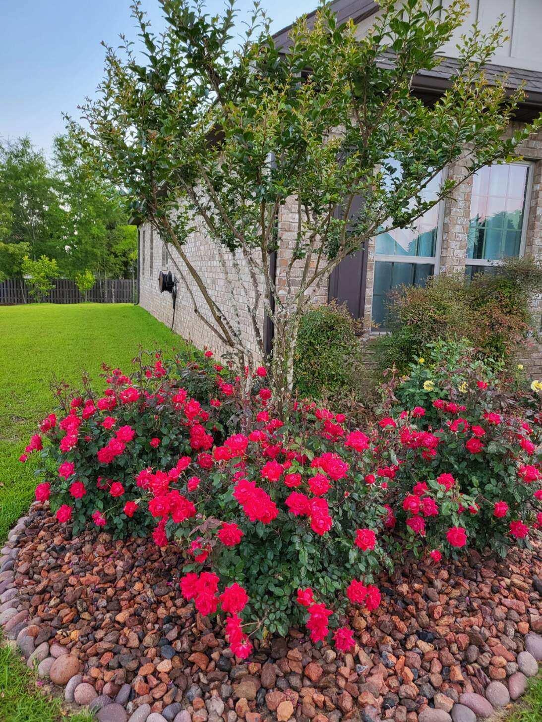 Ashley Plantation - Residential