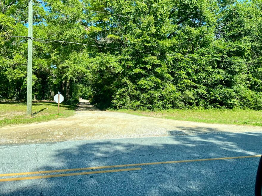 Beautifully treed land just waiting for your Homestead.  Located just 2 minutes from Freeport and on a paved and county controlled road.  Access to water is nearby and you have all that Country living has to offer with this lot.  Bring all offers.