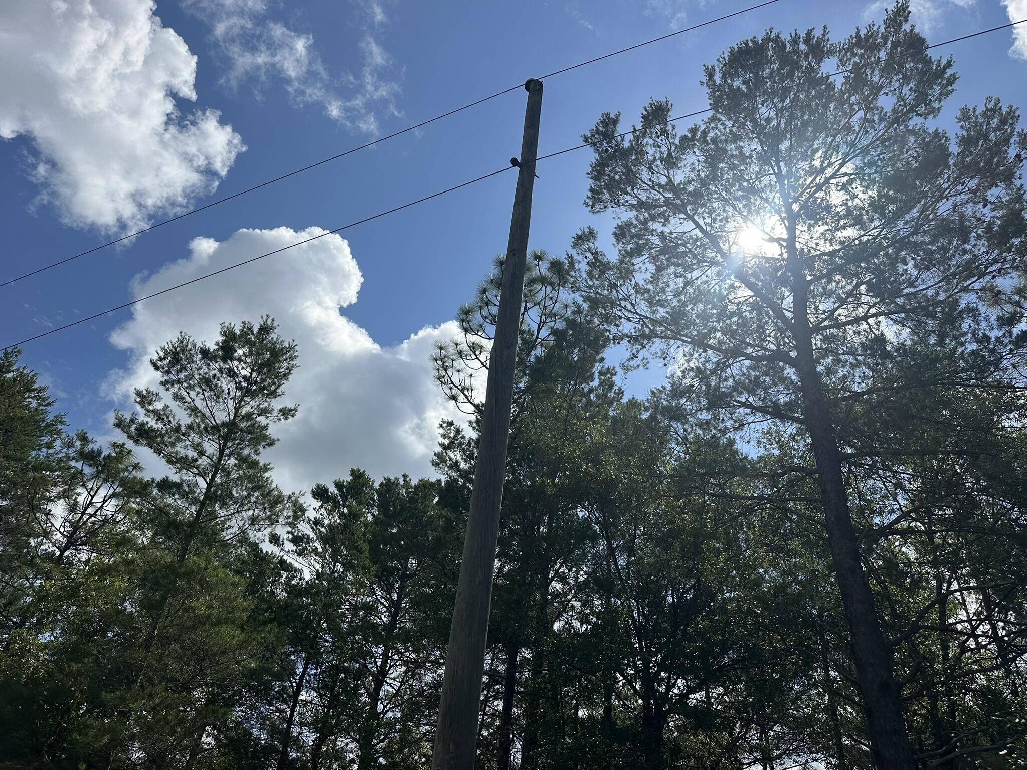 NO RECORDED SUBDIVISION - Land