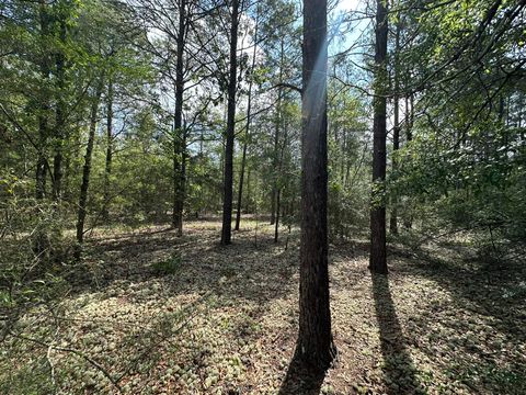 Photo of 10 AC+/- Shot Gun Trail, Crestview, FL 32539 (MLS # 978788)
