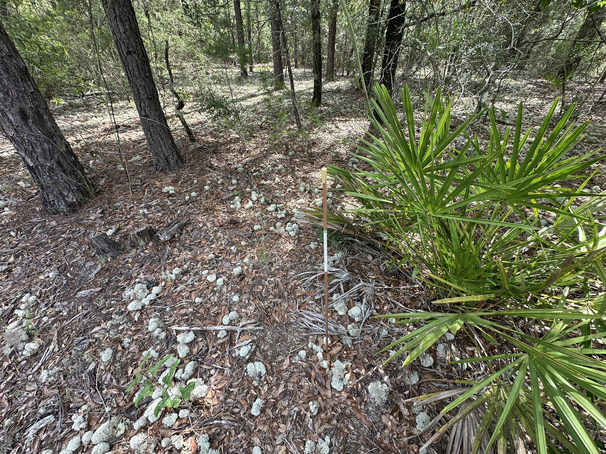 NO RECORDED SUBDIVISION - Land