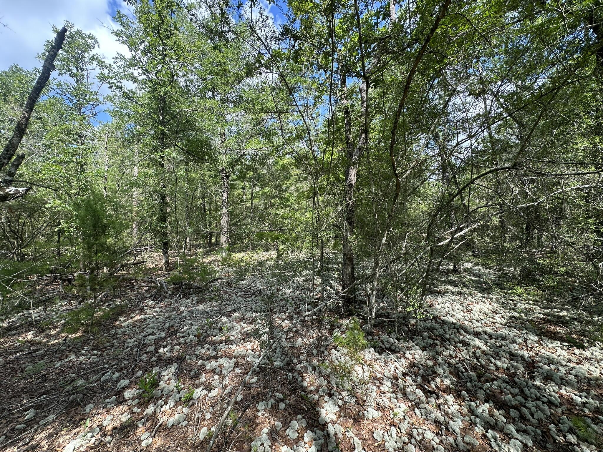 NO RECORDED SUBDIVISION - Land