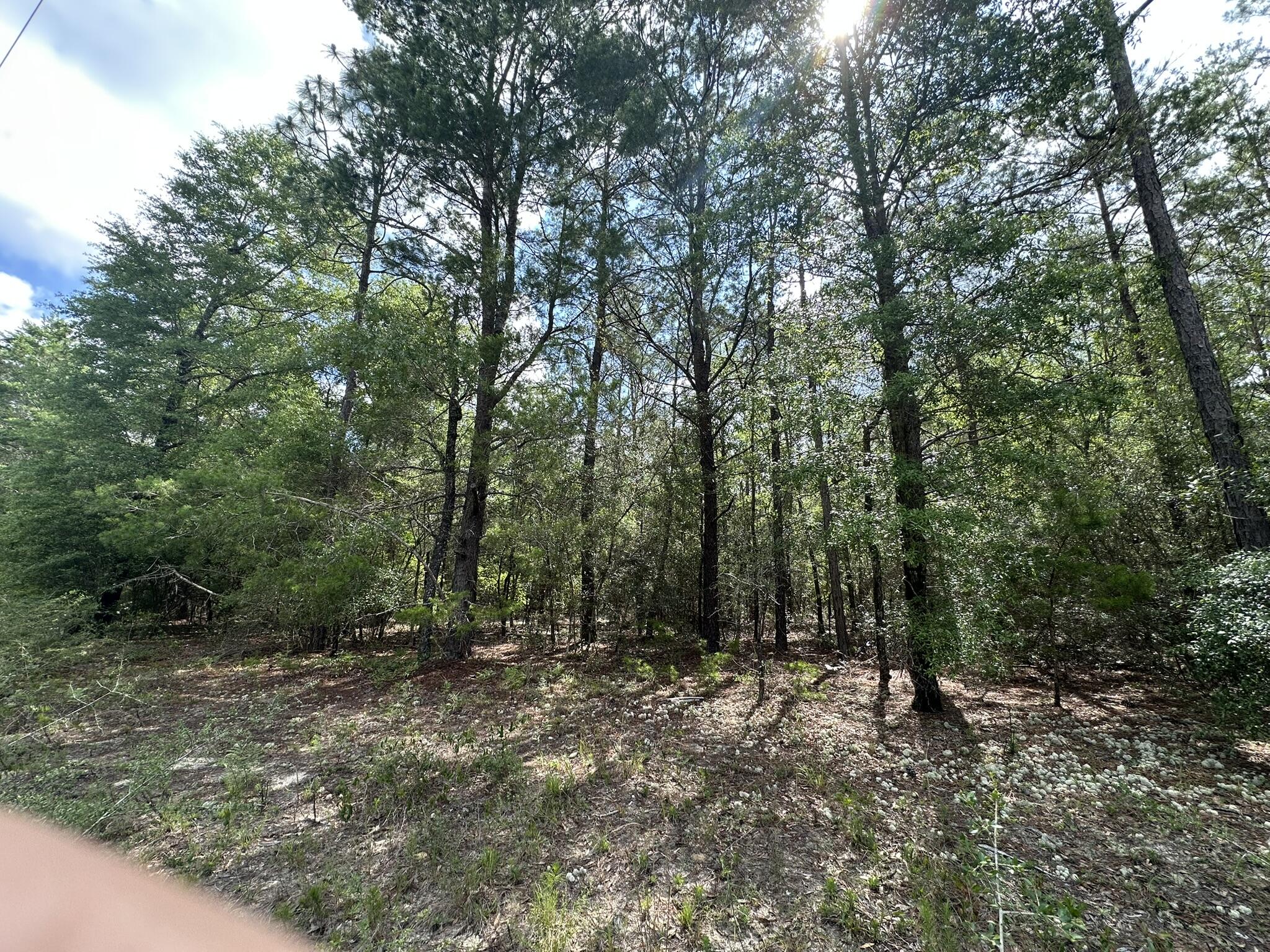 NO RECORDED SUBDIVISION - Land