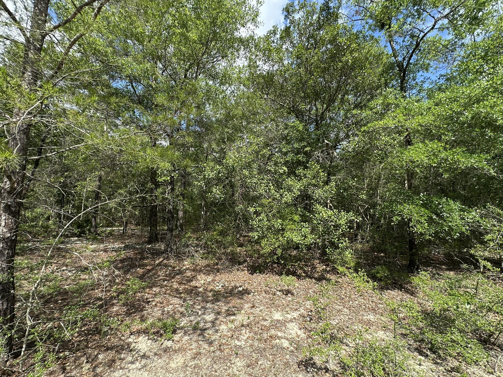 NO RECORDED SUBDIVISION - Land