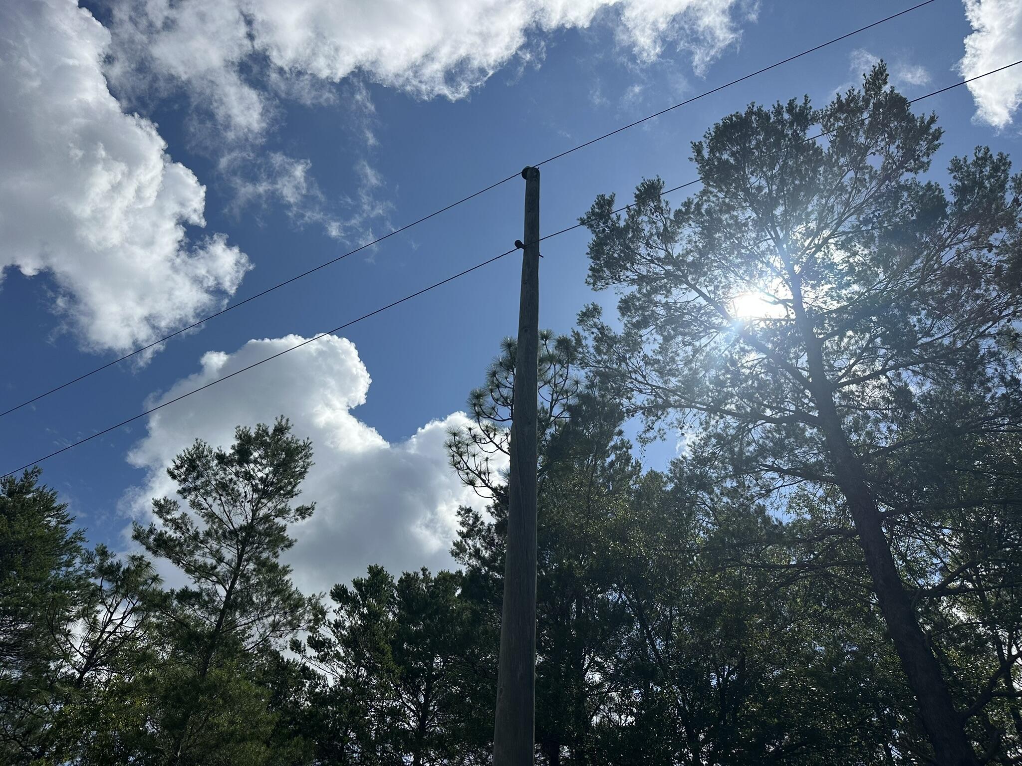 NO RECORDED SUBDIVISION - Land