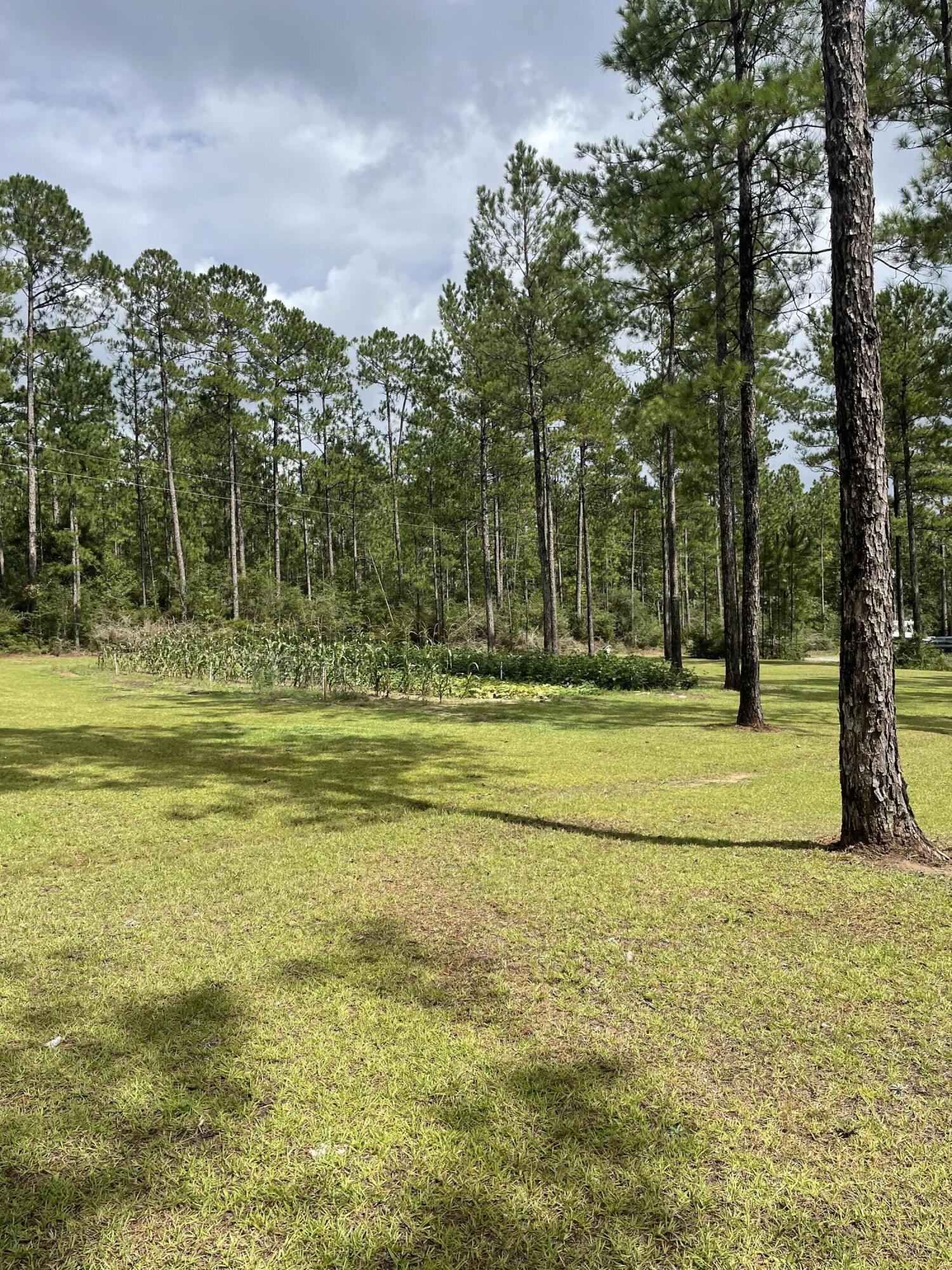 METES & BOUNDS - Land