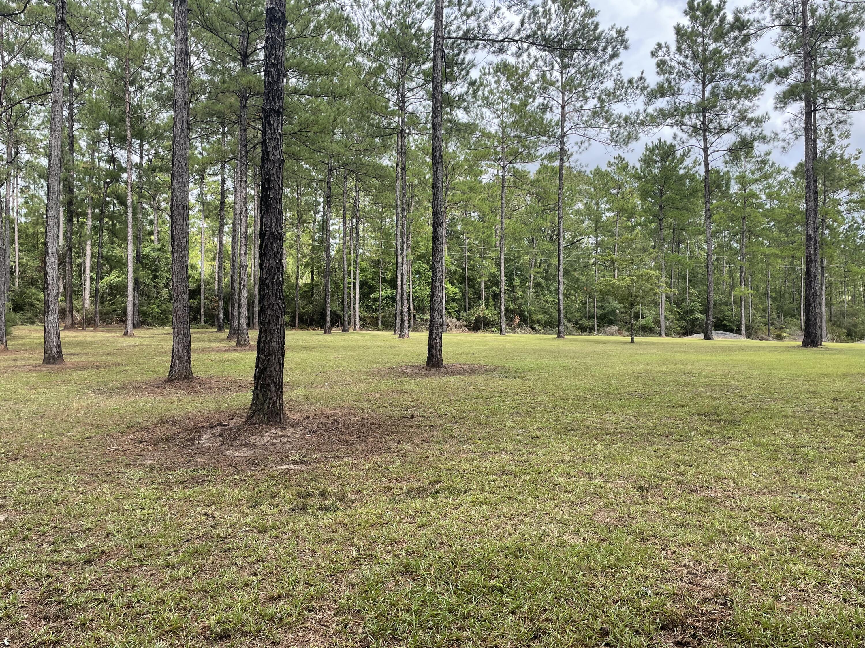 METES & BOUNDS - Land