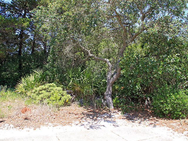 POMPANO PLACE - Land