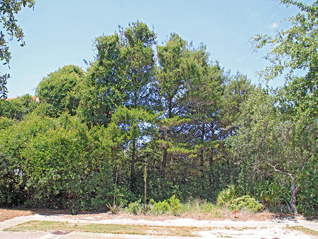 POMPANO PLACE - Land