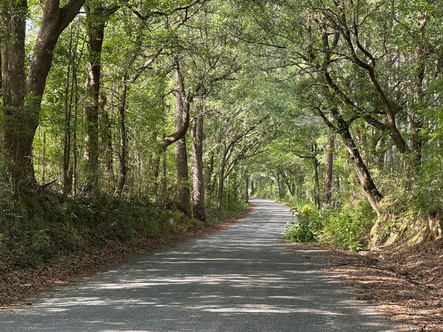 Explore a beautiful section of Northwest Florida countryside offering natural character, privacy, and the freedom to create your vision. Accessed by a paved road lined with mature trees, the property features a blend of open and wooded terrain, offering flexibility for a homesite, recreational retreat, or light agricultural use. Its peaceful surroundings and easy access to nearby roadways make it a standout opportunity for those seeking land with both convenience and seclusion. Buyer to verify all information deemed important, including zoning, land use, utilities, and parcel dimensions, as part of buyer due diligence.