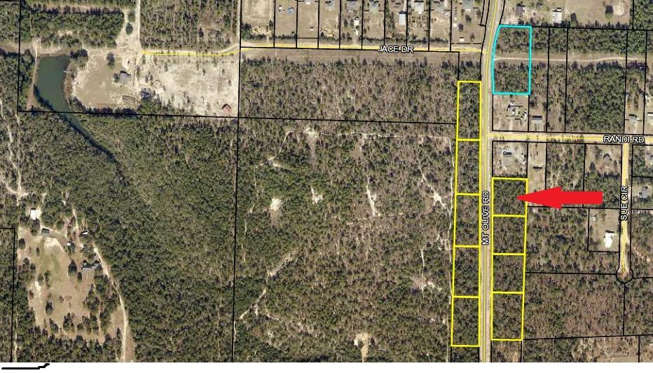 Bring your house plans! This 1+ acre level lot won't last long. Lot is located in the county and utilities are at the road. Short drive to Crestview. Conveniently located between Hwy 85 and Hwy 285.