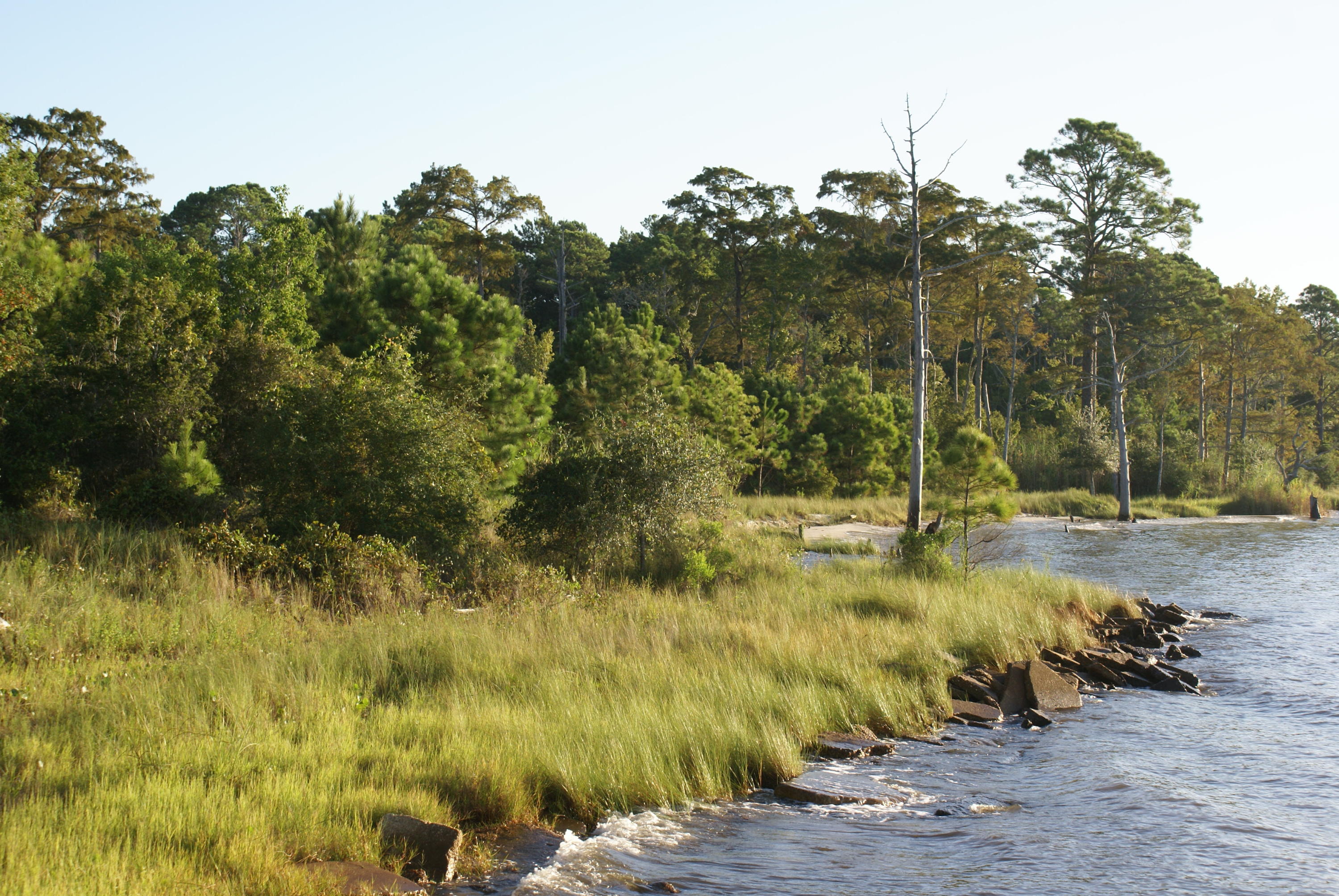 This property is for lots 5,6,7,8,9,17,18. This has a waterfront portion that gives access to the bay. It has Wetlands. The building portion of this land per Walton County DEP will be Coastal flood zone AE7.