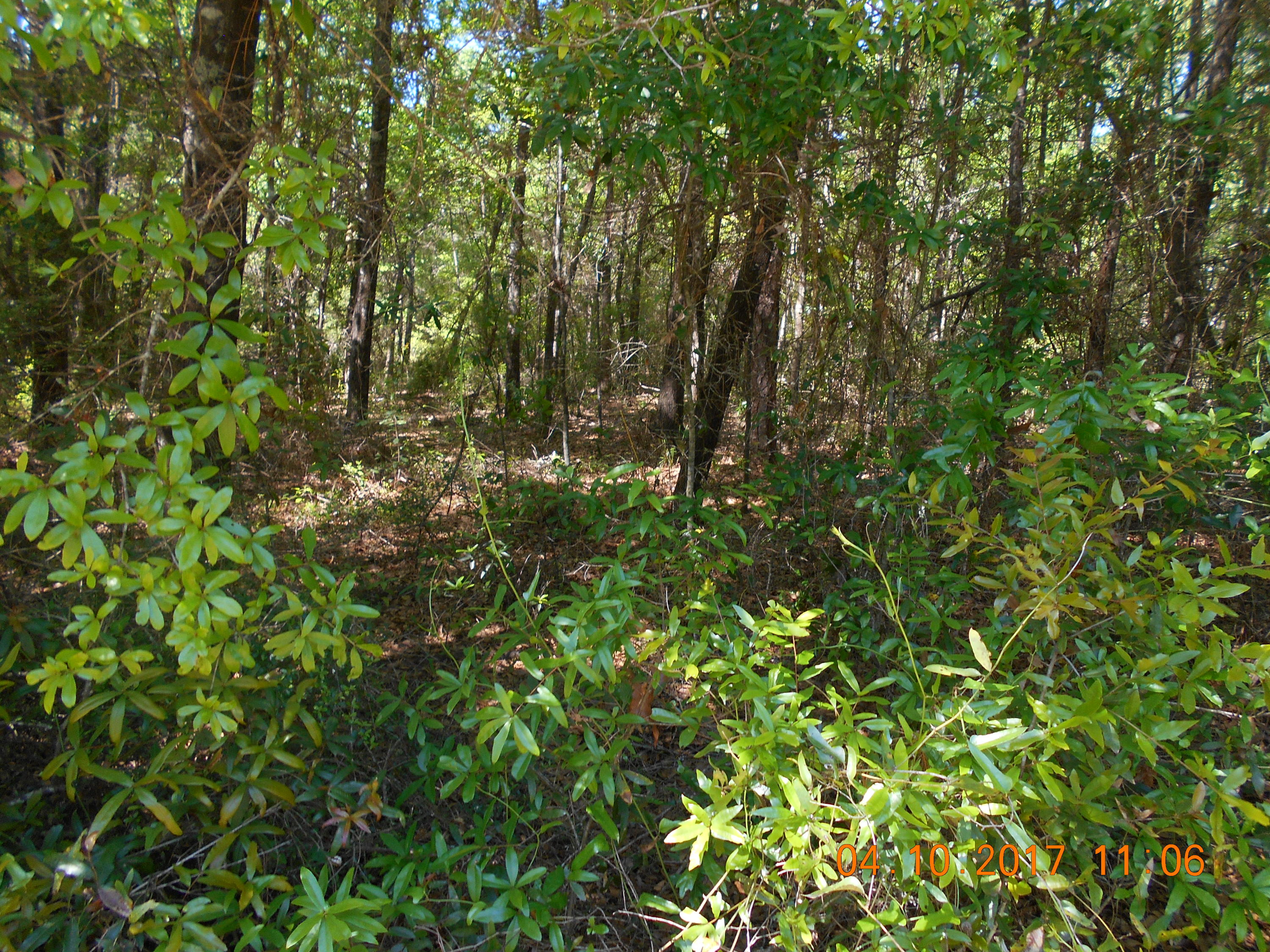 METES & BOUNDS - Land