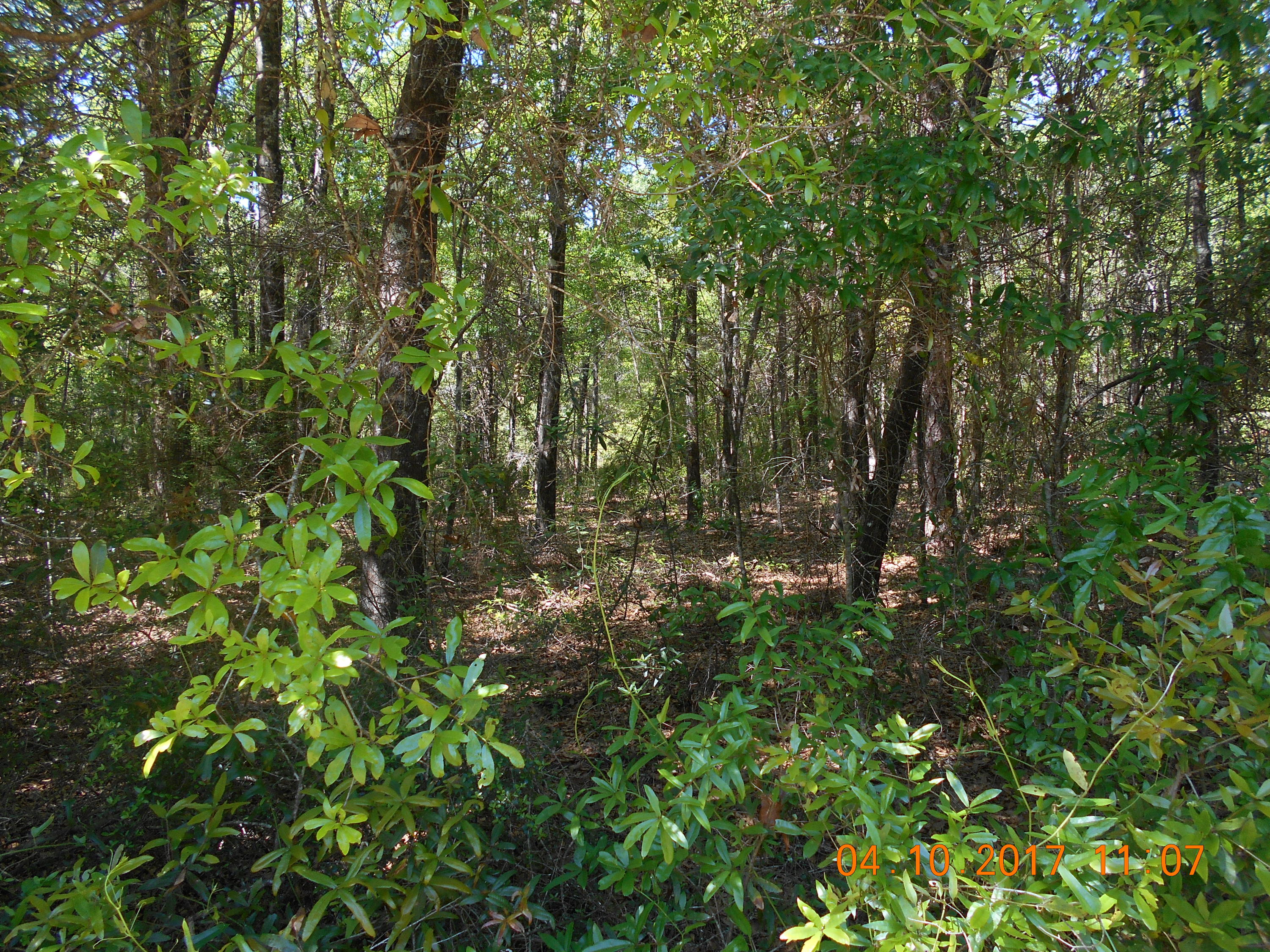 METES & BOUNDS - Land