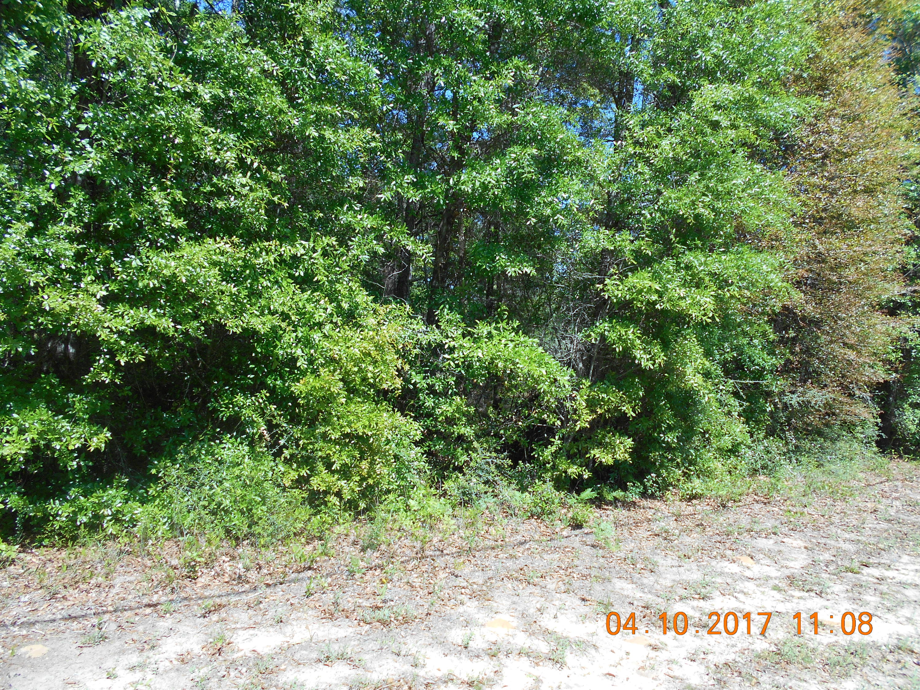 METES & BOUNDS - Land