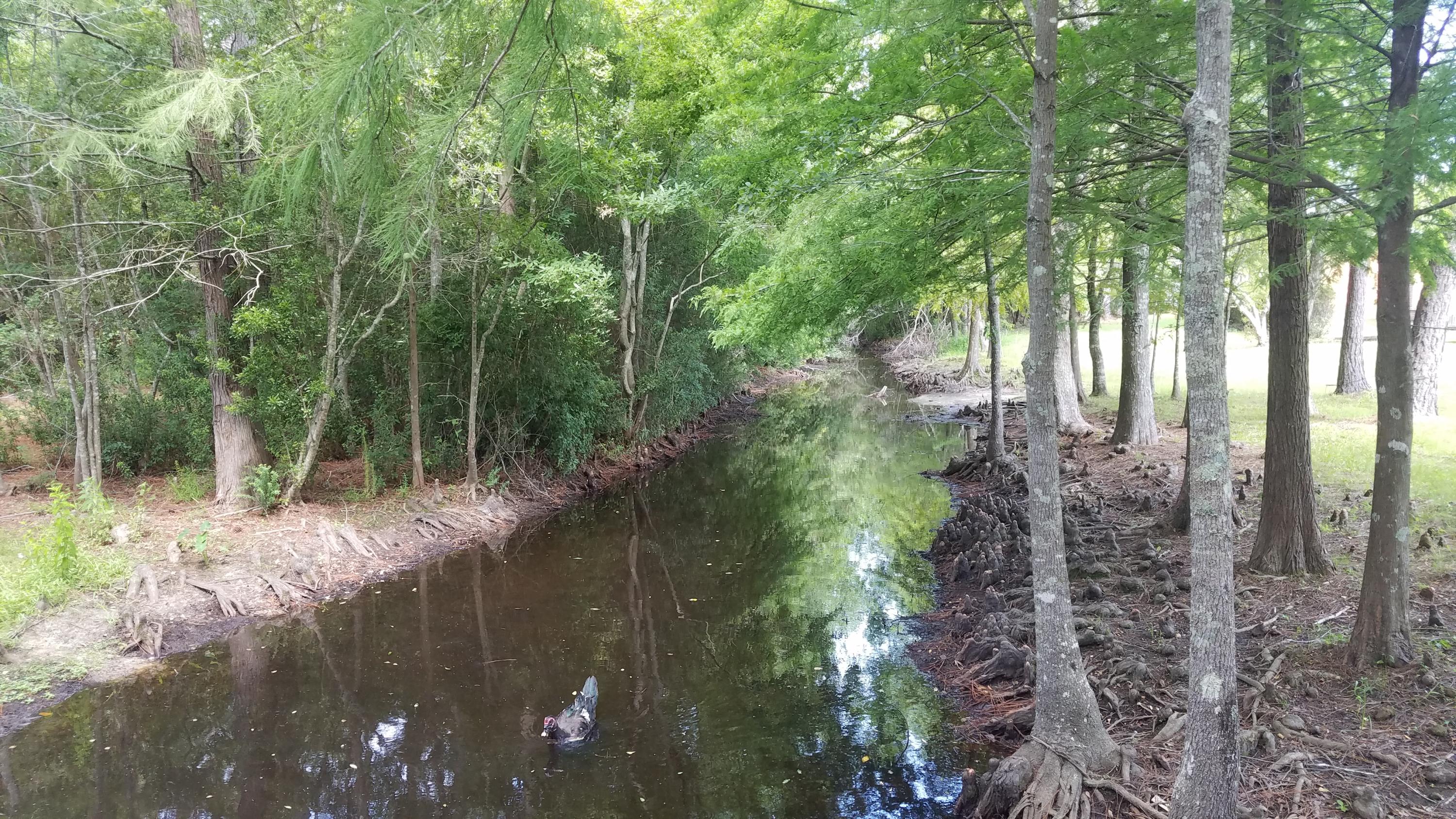 NORTH RIDGE CREEK S/D 1ST ADDN - Residential