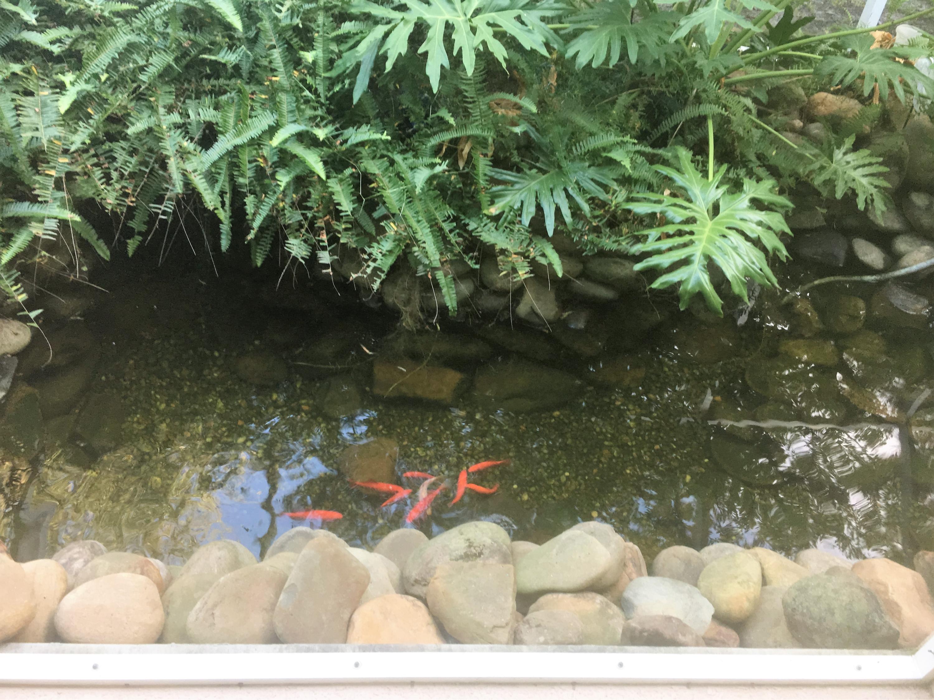 EMERALD BAY PH 1-B - Residential