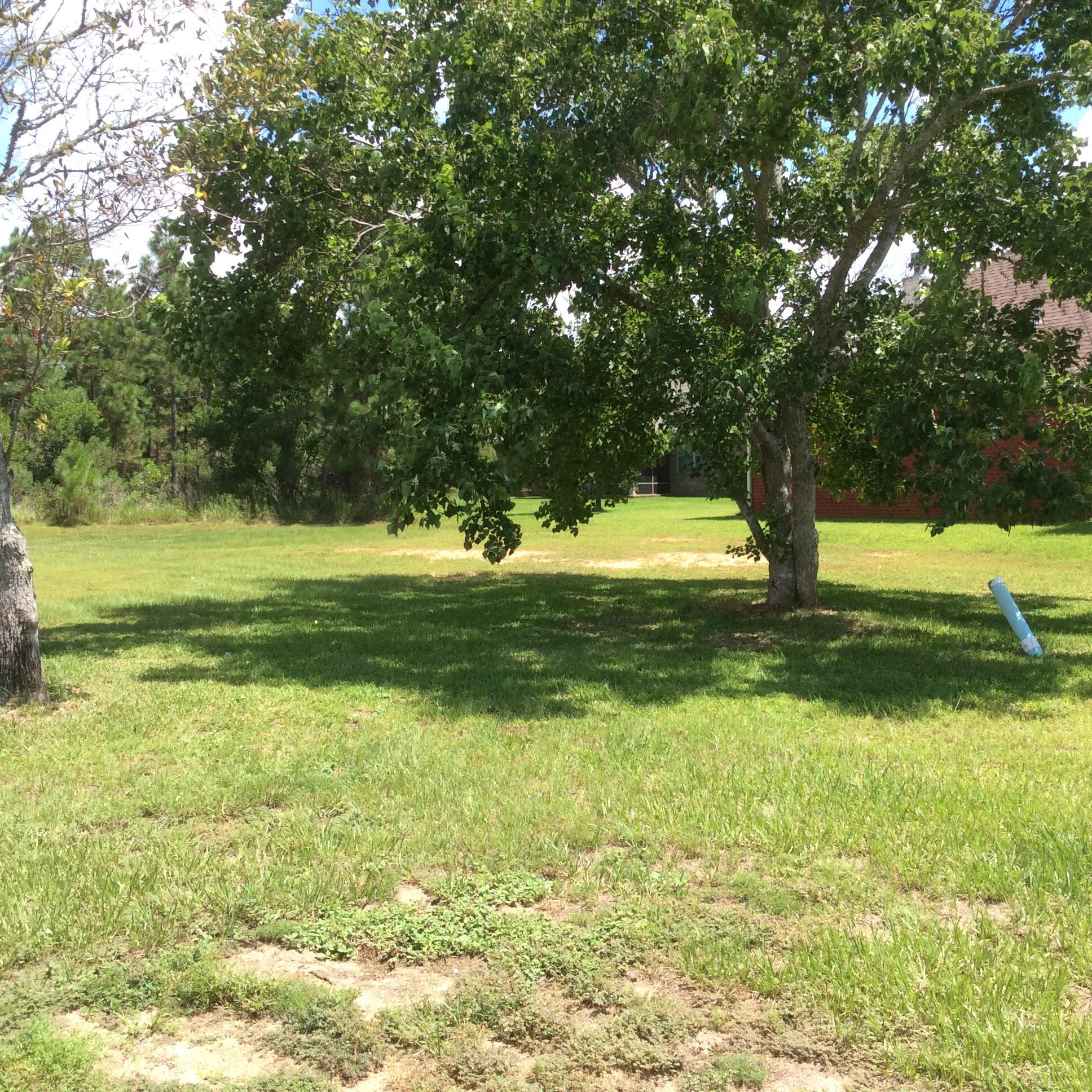 SOUND HAMMOCK - Land