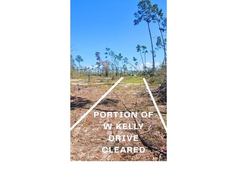 Sunshine Farms - Land