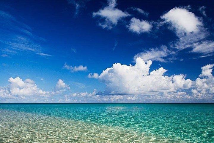 MAGNOLIA CREEK PHASE 1 - Residential