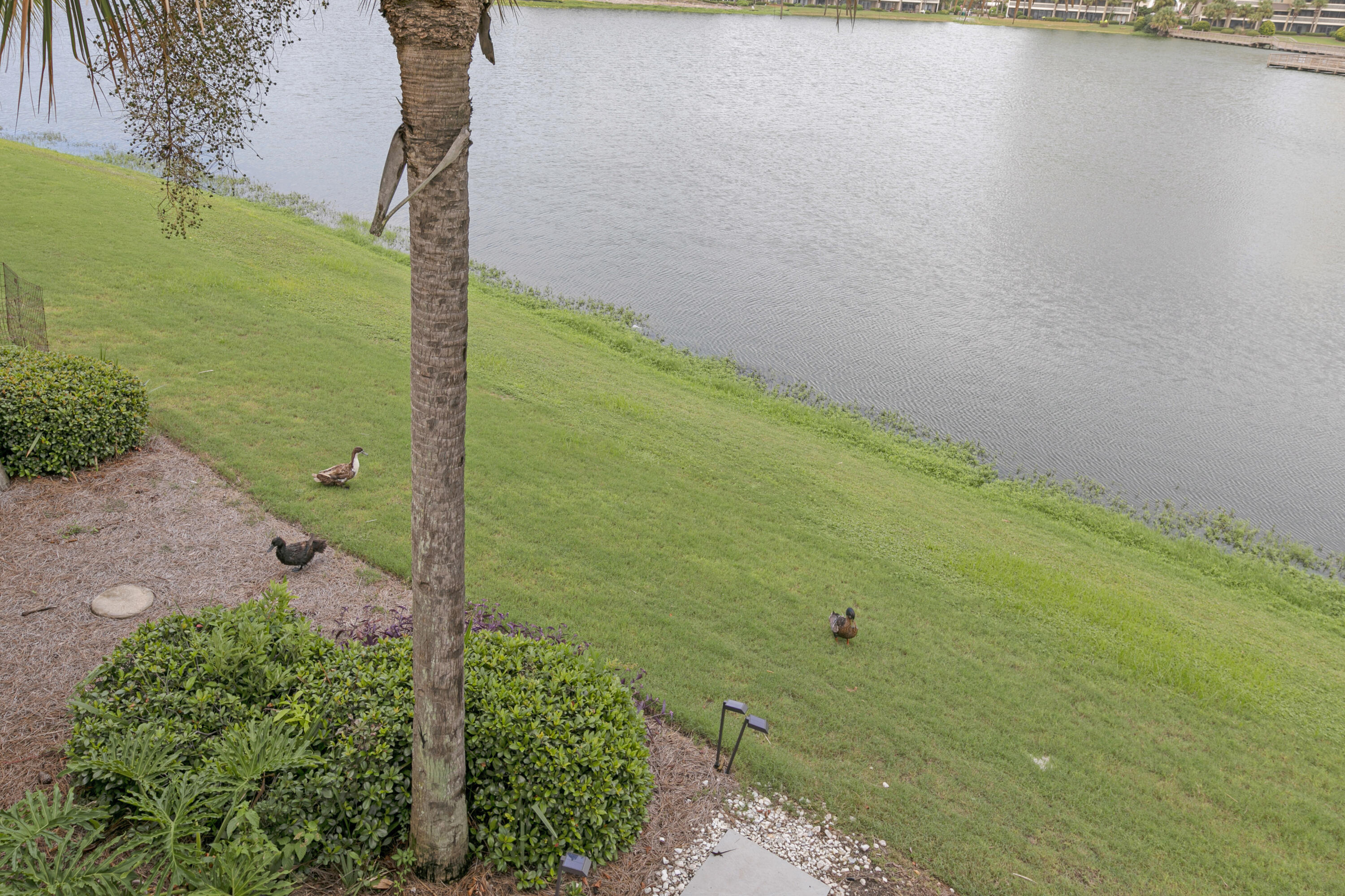 SEASCAPE CONDO PH 6A - Residential