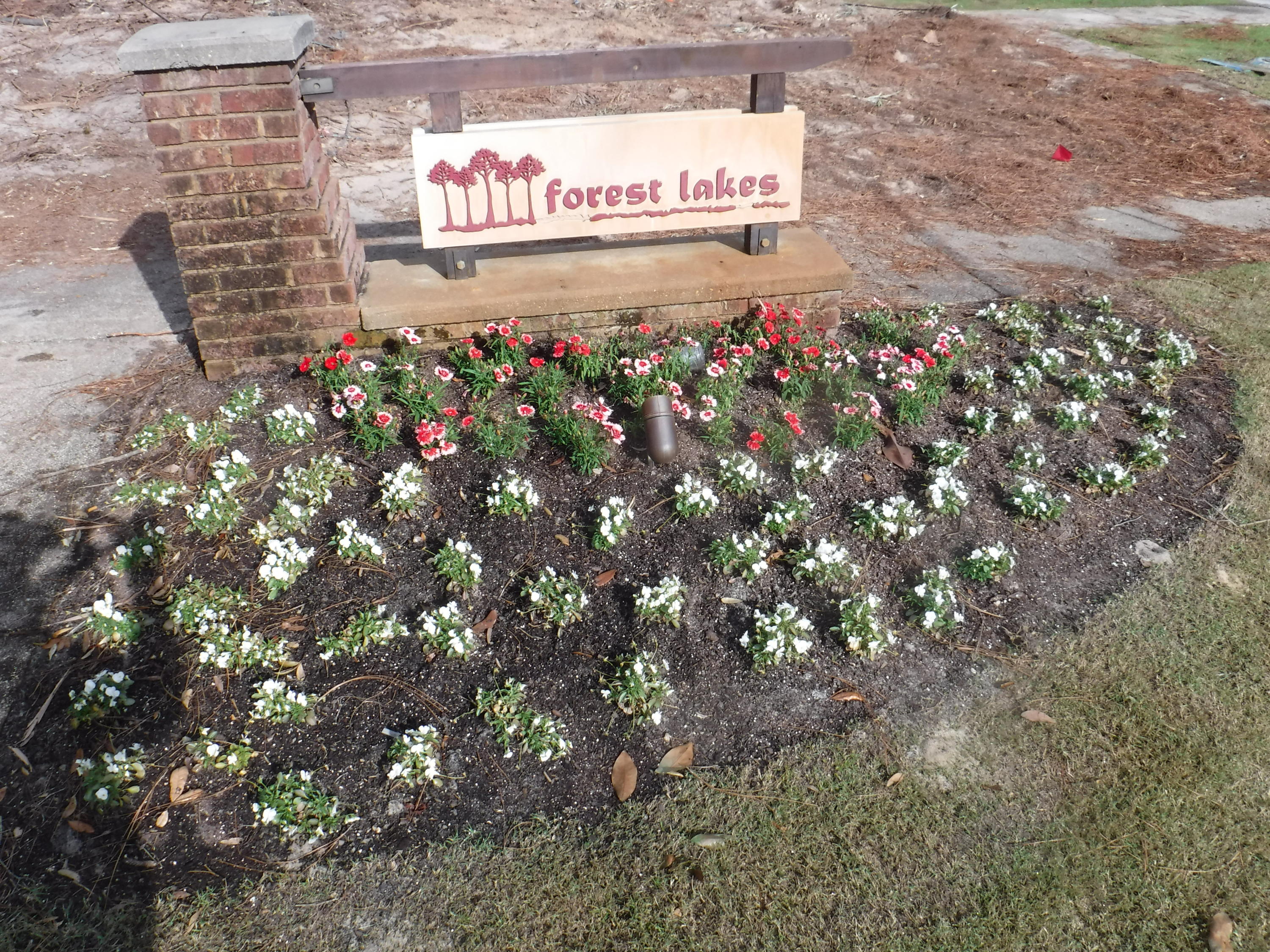 FOREST LAKES - Residential